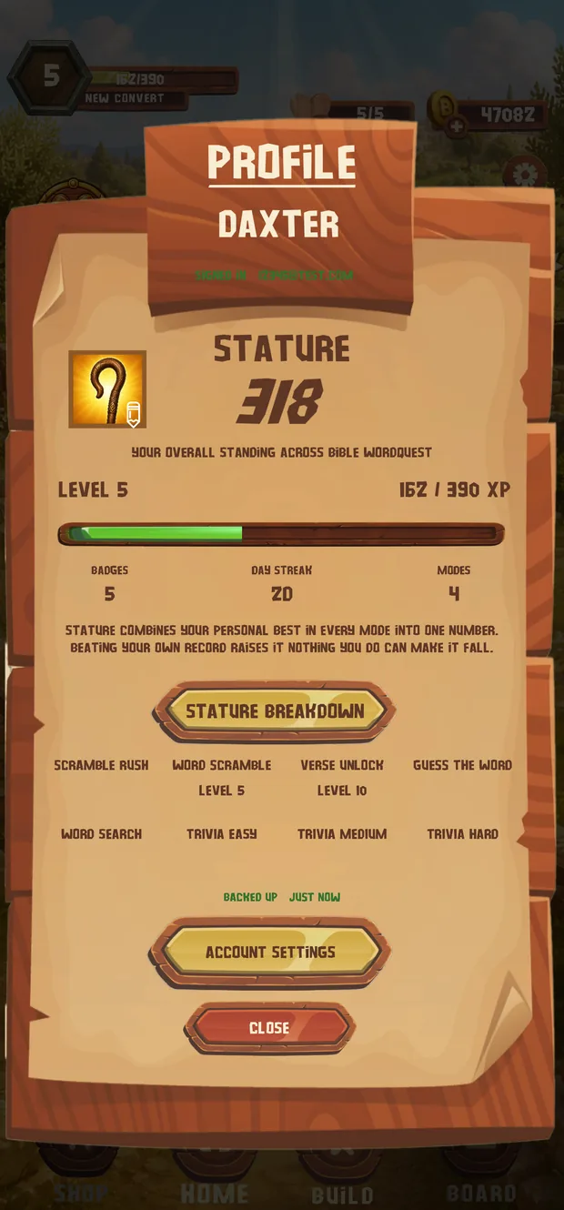 Player profile and rank progression